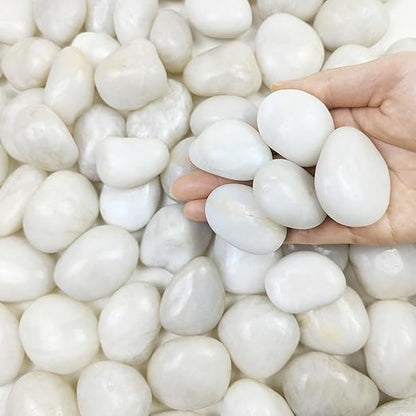40 lbs White River Rocks for Landscaping, 1-2 Inch Polished Pebbles for Indoor Plants, Decorative White Stones for Plants, Vase, Aquarium, Fish Tank and Garden