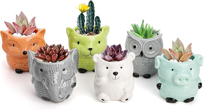Frcctre 6 Pack Small Ceramic Succulent Planter With Drainage and Bamboo Tray, Cute Animal Flower Pots for Indoor Plants, Cactus, Garden, Home Decor