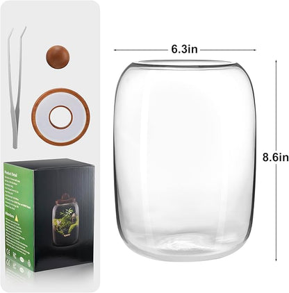 Desktop Glass Terrarium with Time-Controlled Grow Light, H 8.6IN x D 6.3IN Plant Propagation Station and Air Planter for Office and Home