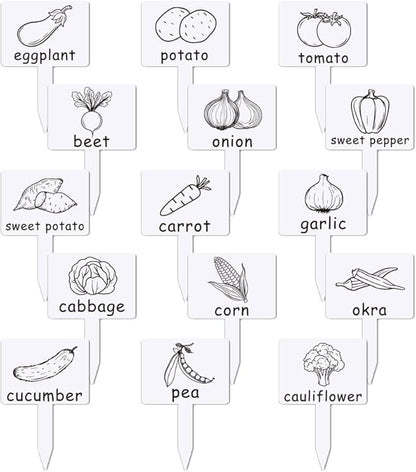 arricraft 15 Pcs Acrylic Plant Label Signs, Vegetable Themed Waterproof Garden Stake Labels T-Shaped Plant Marker with Vegetable Names for Indoor Outdoor Potted Plants Nursery Marker Decoration