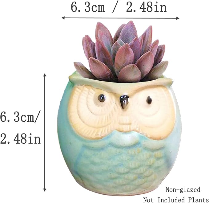 6 Pcs 2.5 Inches Owl Pots, Little Ceramic Succulent Bonsai Pots with a Hole - Pack of 6