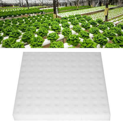 Mumusuki Sponge Cubes, Hydroponic Sponge Planting Tool DIY Foam Cloner, Reusable for Net Pots Aeroponics, for Greenhouse Hydroponic Gardening