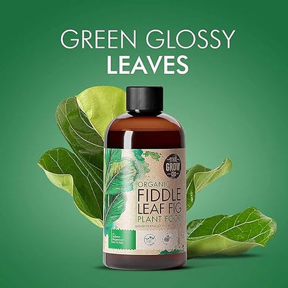 Organic Fiddle Leaf Fig Tree Plant Food - Liquid Fertilizer for Potted Figs - Nutrient Rich Formula to Grow Healthy Indoor and Outdoor Ficus Plants (8 oz)