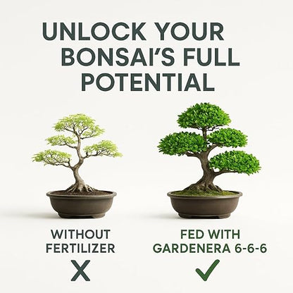 𝐁𝐄𝐒𝐓𝐒𝐄𝐋𝐋𝐄𝐑 Bonsai Fertilizer Pellets – Slow-Release Bonsai Tree Fertilizer & Food for Compact Growth, Dense Branching & Healthy Roots | Ideal for All Bonsai & Money Trees - 2 QUARTS
