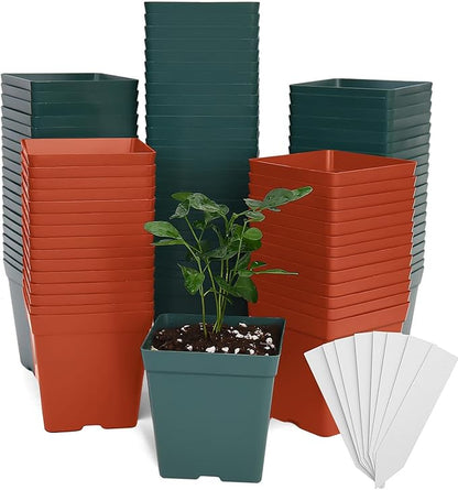 June Fox 100 Pack Green Red Square Nursery Pots with Drainage Holes 3.3 Inches Flexible Plastic Seedling Pots Square Pots for Plants, Succulent, Flower, with Plant Labels