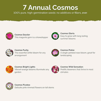 Eden Brothers Crazy for Cosmos Flower Mixed Seeds for Planting, 10 lb, 4,800,000+ Seeds with Cosmos Gloria, Pinkie, Purity, Attracts Pollinators, Plant in Spring or Fall, Zones 3, 4, 5, 6, 7, 8, 9, 10