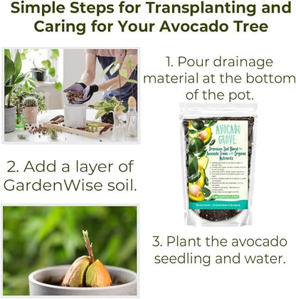 Avocado Tree Soil – Premium Organic Potting Mix for Avocado Trees | Tailored pH & Organic Nutrients | Fast-Draining & Moisture-Retaining | Indoor & Outdoor Use (4 QUARTS)