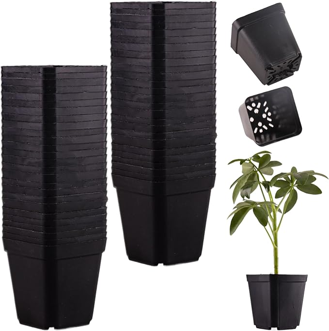 100 Packs Square Nursery Pots for Plants 2.8 Inch Succulent Plant Pots Set Plastic Seedling Starting Pots with Drainage Holes Nursery Pots Variety Pack Flower pots Planter Seed Starter, Black