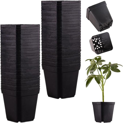 100 Packs Square Nursery Pots for Plants 2.8 Inch Succulent Plant Pots Set Plastic Seedling Starting Pots with Drainage Holes Nursery Pots Variety Pack Flower pots Planter Seed Starter, Black
