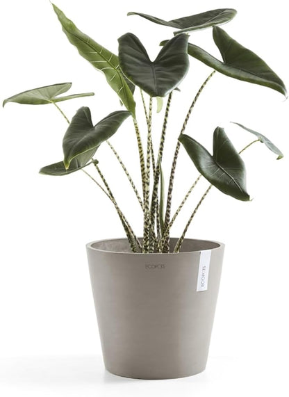 Ecopots Amsterdam Durable Modern Round Indoor/Outdoor Recycled-Based Composite Flower Pot Planter, Taupe, 12"