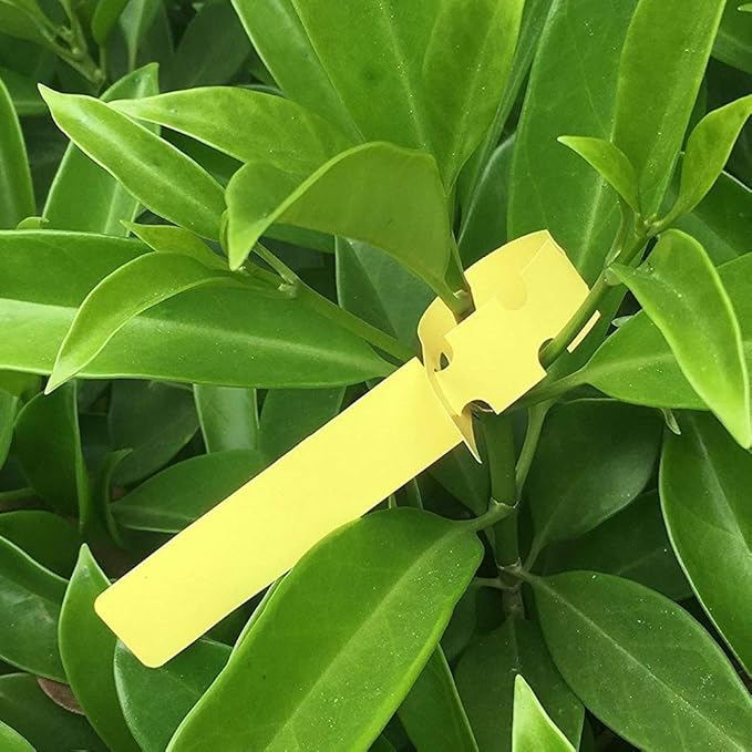 Mziart 120Pcs 6 Colors Plastic Plant Labels Wrap Around Tree Tags Markers, Adjustable Nursery Garden Labels Plant Tags with Large Writing Surface