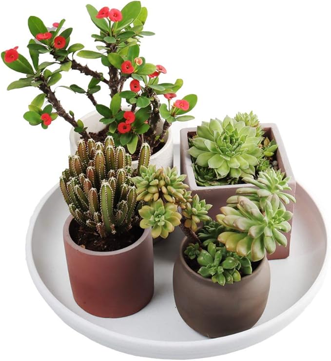 SAROSORA Round Plastic Plant Saucer Drip Tray Set of 6 for Indoor Outdoor Home Garden Flower Plant Container Flower Pot Pallets ((9.4''+10.4"+12'') x2, White-Grey)