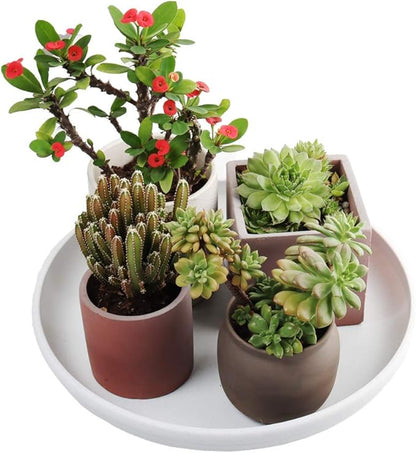 SAROSORA Round Plastic Plant Saucer Drip Tray Set of 6 for Indoor Outdoor Home Garden Flower Plant Container Flower Pot Pallets ((9.4''+10.4"+12'') x2, White-Grey)