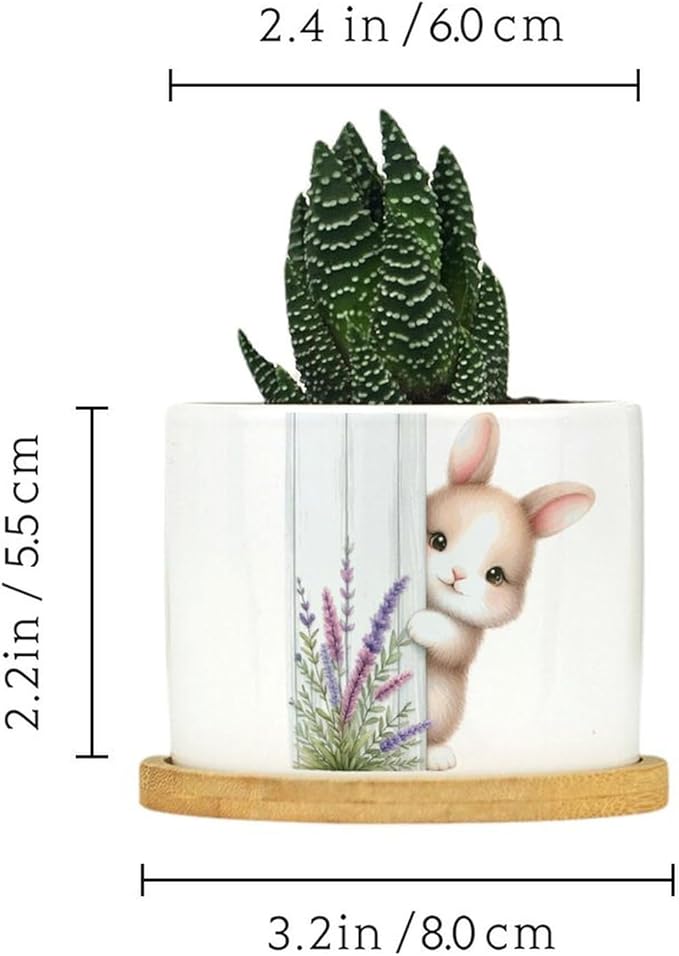 DreamAutumn Easter Bunny Peeking Ceramic Pots for Plants with Drainage Holes Round Flower Pot Bamboo Tray Orchid Pot Succulents Pots for Outdoor Indoor Plants