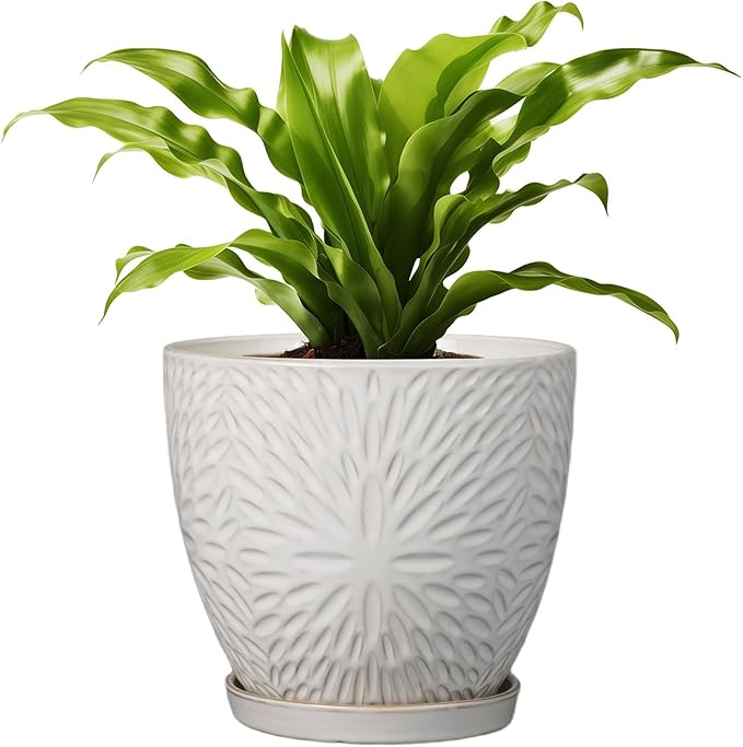 G EPGardening 8 Inch Ceramic Plant Pot with Drainage Hole and Saucer Round Planter Pot for Indoor Outdoor Plants Modern Large Flower Pot White