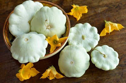 Seeds Vegetable White Patty Pan Squash Scallop Zucchini - 30 Seeds