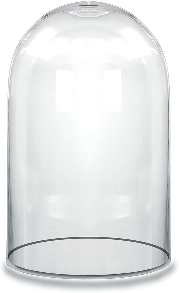 CYS EXCEL Dome Glass Cloche (H:10.5" D:6") | Multiple Size Choices Decorative Showcase Display For Antique Collectibles | Bell Jar Terrarium & Dessert Cover