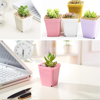 24Pack 3 Inch Plastic Plant Pots,Square Seedling Nursery Pots Succulent Flower Planter Container with Saucers for Garden,Room,Office,Balcony Decor,Multicolor