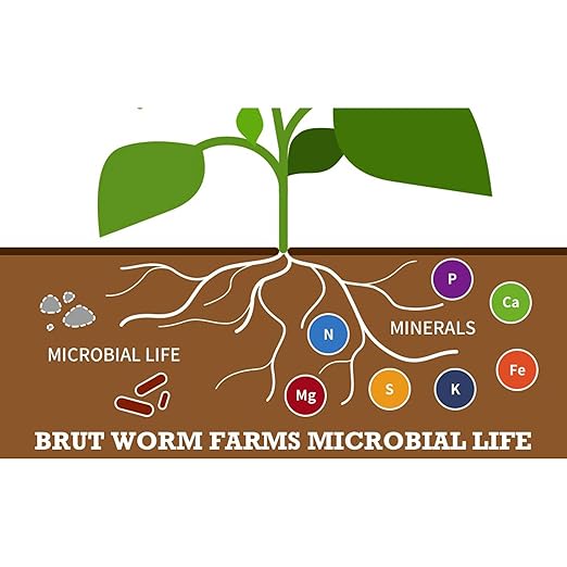 Brut Organic Chicken Compost 1 Cubic ft Nutrient Rich Fertilizer for Thriving Gardens Safe, Pure, and Effective Treatment (10 Pack)