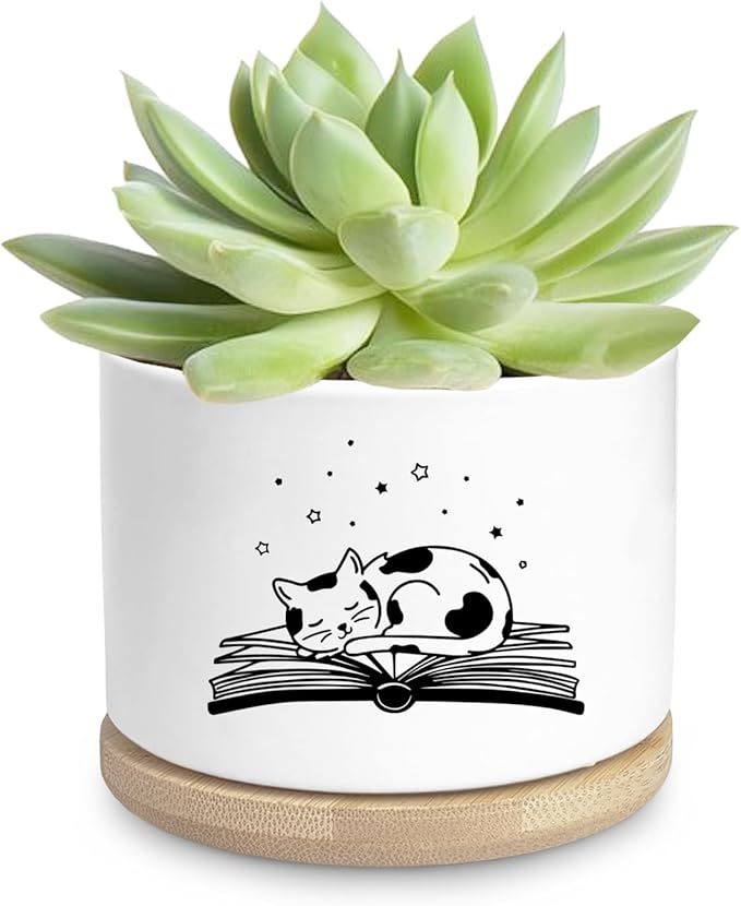 Funny Cat Ceramic Planter Pot, Cute Succulents Pots for Indoor for Cat Lover Women Friends Coworker Birthday Sister Bestie, Office Desk Windowsill Decor (Plants Not Included)