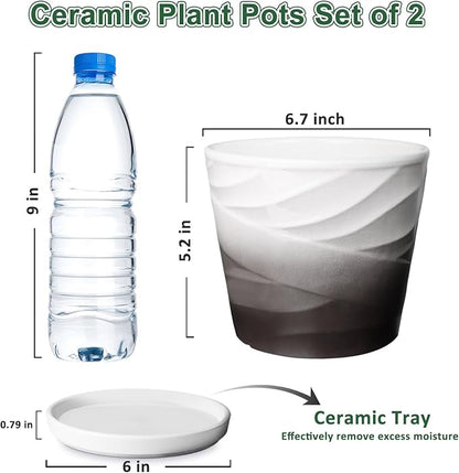 Ceramic Plant Pots,6 Inch,Set of 2,Planters with Drainage Hole and Saucer,Flower pots for Indoor Plants,Modern Design(6.7 in Diameter)
