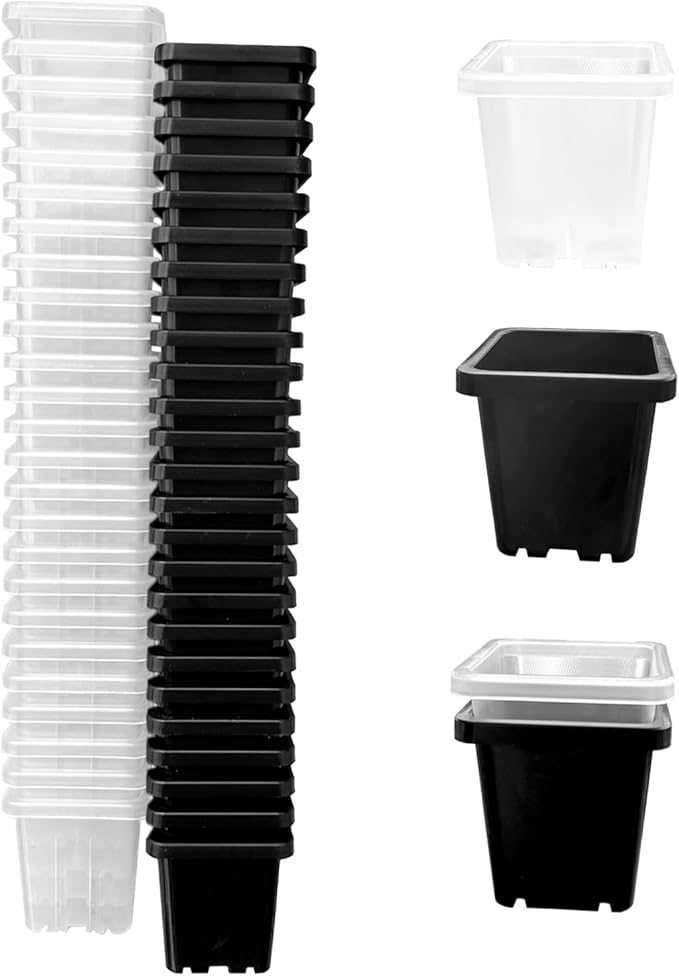 2 Inch Square Plant Nursery Pots (Black+Clear),50Pcs Seedling Planter Seed Starter Pots,Sturdy Small Plastic Pots with Drainage Holes