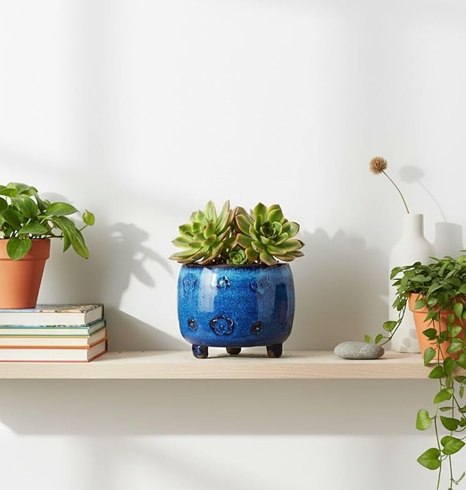 Arktiva Ceramic Planter Pot w/Drainage, 4.75 Inch Dia, Indoor Outdoor, Home Patio Garden, Plants, Flower Succulent, Glazed Plum Blossom Round