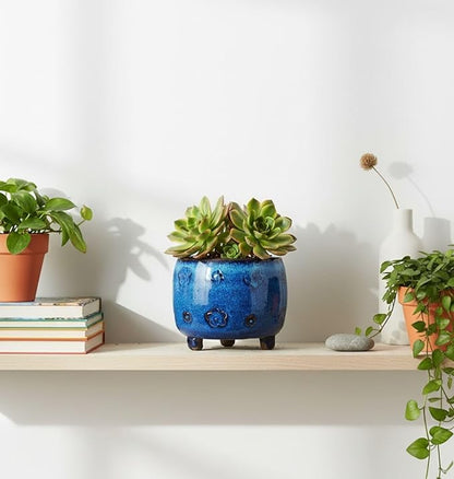 Arktiva Ceramic Planter Pot w/Drainage, 4.75 Inch Dia, Indoor Outdoor, Home Patio Garden, Plants, Flower Succulent, Glazed Plum Blossom Round