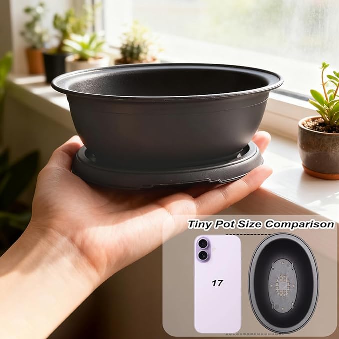 MUZHI 3 Pack Oval Bonsai Training Pot with Drainage Tray, Matte Finish Nursery Plastic Bonsai Planter with 25PCS 2inch Mesh pad (5.2" Small)