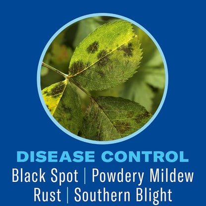 BioAdvanced Shrub Care Protect & Feed, Granules, 10 lb