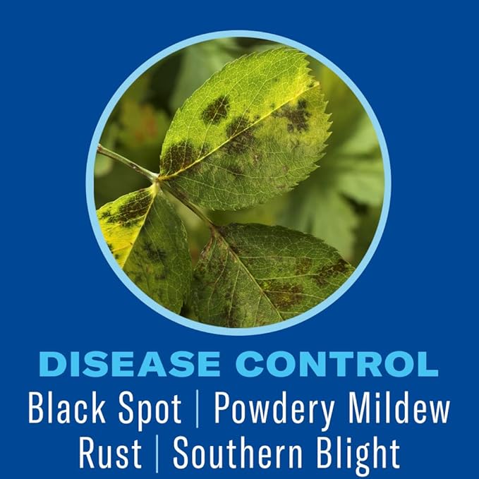 BioAdvanced Shrub Care Protect & Feed, Granules, 4 lb.