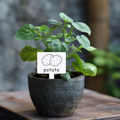 arricraft 15 Pcs Acrylic Plant Label Signs, Vegetable Themed Waterproof Garden Stake Labels T-Shaped Plant Marker with Vegetable Names for Indoor Outdoor Potted Plants Nursery Marker Decoration
