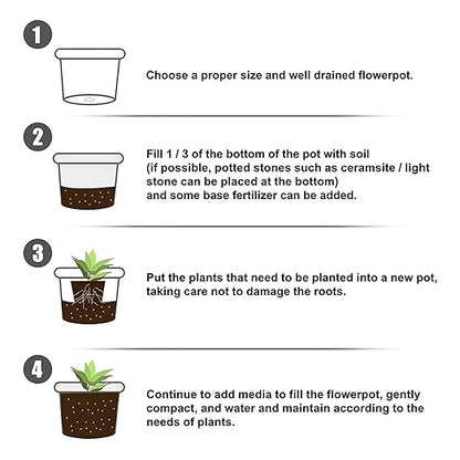 Alvinlite 50g Rooting Powder Hormone Root Fertilizer Seedling Help New Roots on Cuttings and Promotes Strong Healthy Roots for Moderately Difficult to Root Plants Promote Growth