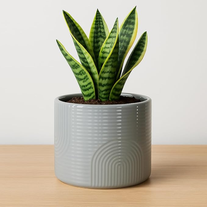 6 Inch Ceramic Plant Pot – Indoor & Outdoor Flower Planter for Succulents, Herbs & Small Plants – Thick-Walled Modern Design – Stone Gray