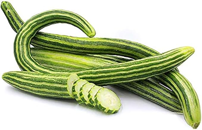 Armenian Yard Long Cucumber Seeds - 150+ Seeds