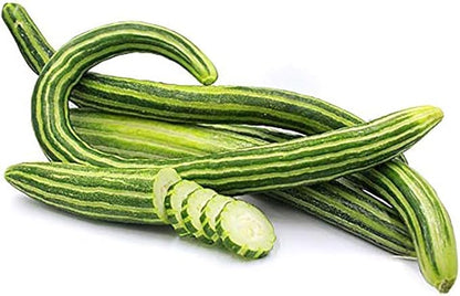 Armenian Yard Long Cucumber Seeds - 150+ Seeds