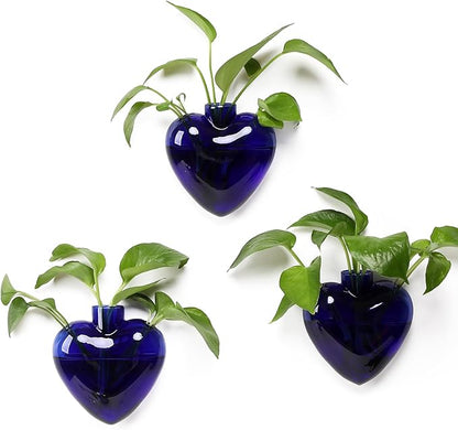 Wall Hanging Planter Propagation Station for Indoor Plants Glass Vase Air Plant Holder for Bathroom Living Room