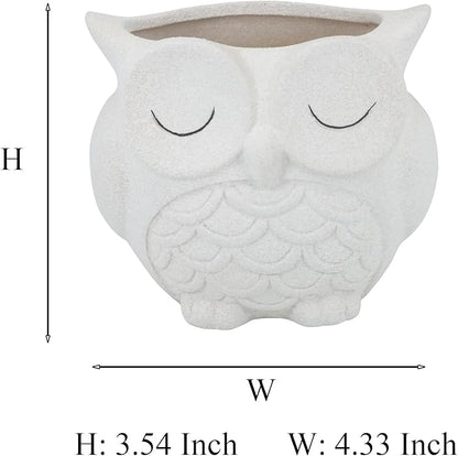 Cute Owl Succulent Planter Pot with Drainage Tray, Large White Ceramic Flower Cactus Container, Animal Shaped Indoor Air Plants Holder
