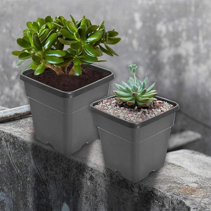 Square Nursery Pots Plant Pots Grow Pots Nursery Container for Planting Soil Plants 0.63 Gallon 10Pcs
