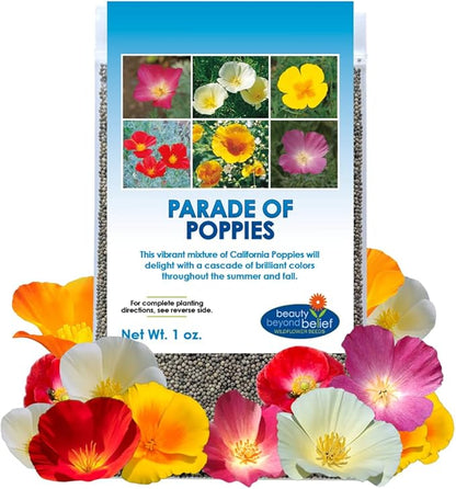 Parade of Poppy Wildflower Seeds - 1oz, Open-Pollinated Flower Seed Mix Packets, No Fillers, Annual, Easily Re-Seeds, Wildflower Seeds, Year-Round Planting - 1 oz