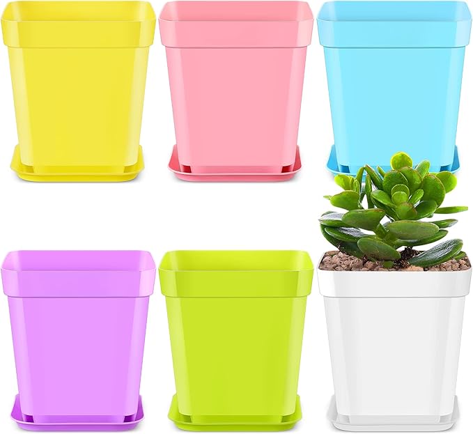 Zubebe 240 Pack Plastic Seedling Pots 3 Inch Flower Pots Small Square Plastic Plant Pots Succulent Planter Nursery Pots with Saucers for Outdoor Indoor Starting Seedlings Garden Room (Colorful)