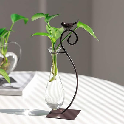 Marbrasse Desktop Glass Planter Hydroponics Vase,Planter Bulb Vase with Holder for Home Decoration,Modern Creative Bird Plant Terrarium Stand, Scindapsus Container (Water Drop Vase)