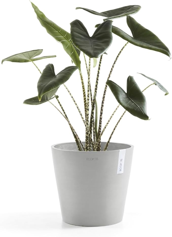 Ecopots Amsterdam Durable Modern Round Indoor/Outdoor Recycled-Based Composite Flower Pot Planter, White Grey, 16"