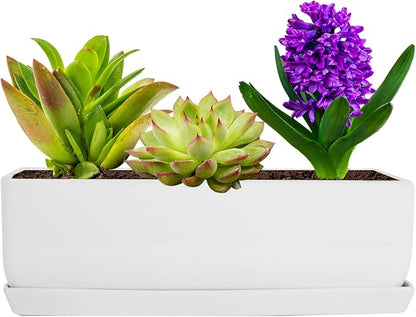 Vencer 14 Inch Rectangular Modern Minimalist Ceramic Succulent Planter Pot - Window Box with Saucer,Office Desktop Potted Stand,White,VF-0173W