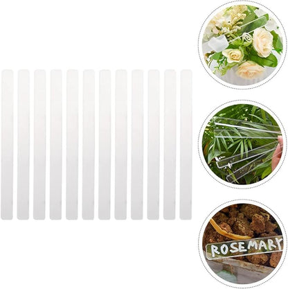 72 pcs Plug Gardening Succulent Labels Vegetables Tree Blank Outdoor Signs Label Label: Boards Flowers Tags Indoor Ground Tag Nursery Weatherproof Potted for Clear DIY