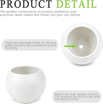 White Spherical Ceramic Planter Succulent Small Plant Pots Indoor Modern Round Decorative Indoor-Outdoor Garden Plant Pots with Drainage Holes - Plants Not Included 3.94 x 3.94 x 3.15 Inch