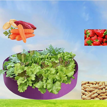 Ulalaza 3PCS Potato Grow Bags with Flap Plant Grow Bags Fabric Multi Ribbon Potato Bag Tomato Vegetable Growth Non-Woven Felt Planting Bag Transparent