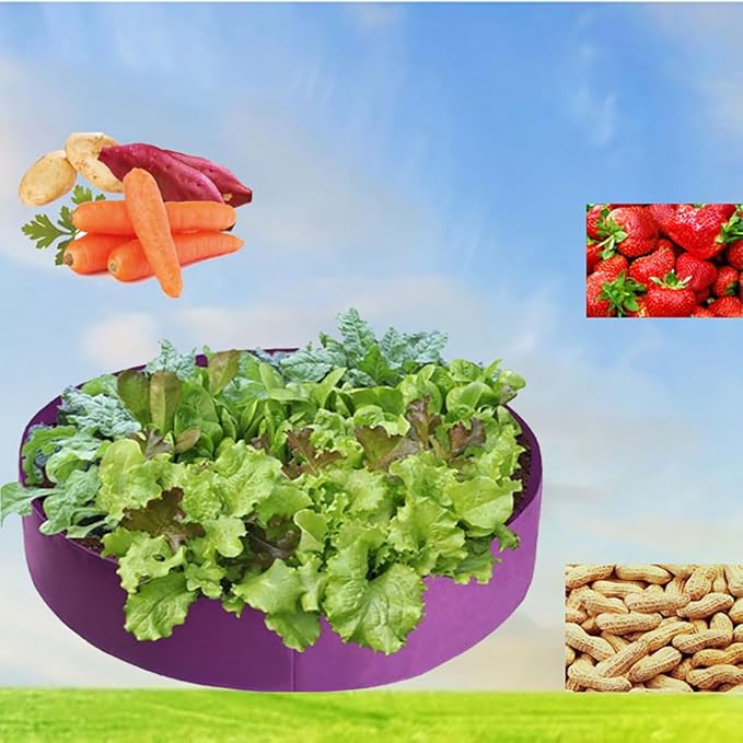 Ulalaza 3PCS Potato Grow Bags with Flap Plant Grow Bags Fabric Multi Ribbon Potato Bag Tomato Vegetable Growth Non-Woven Felt Planting Bag Transparent