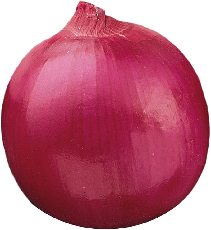 Burpee Red Creole Onion Seeds 300 seeds