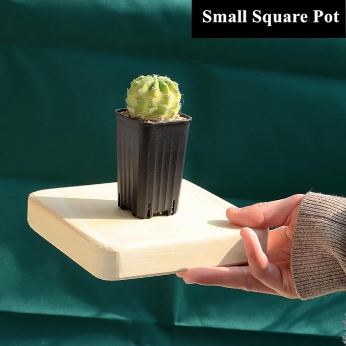 BangQiao 180 Pack 1.95 Inch Tiny Black Plastic Square Nursery and Seedling Pot, Mini Deep Transplant Seed Starter Planter with Drain Hole for Germination, Herb, Succulent